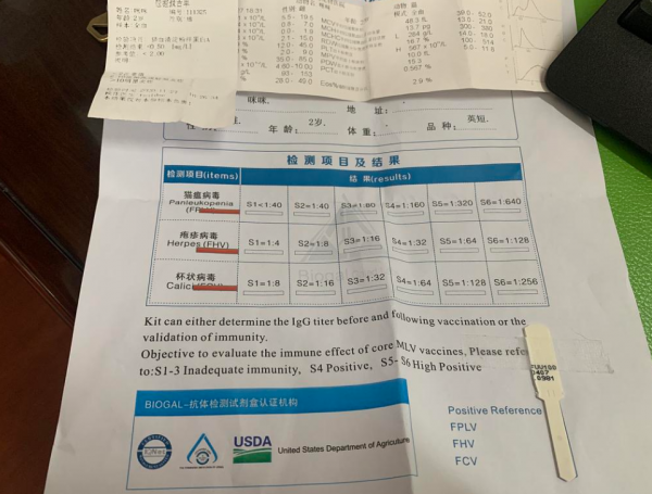 2004年美國孕婦被“剖腹取子”，兇手曝光後，數萬網友為其求情