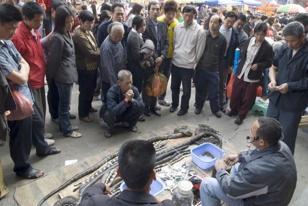 為什麼很多人玩了十幾年古玉，發出來的藏品還是一眼假呢？