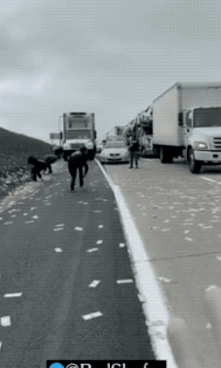 30張罕見的照片，河馬的嘴能有多大，日本廣島核彈後的慘淡