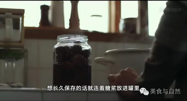 走進小森林之秋季篇