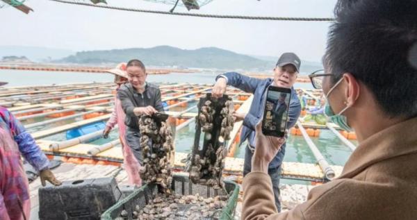 廣東小夥養殖鮑魚，獨門秘方一斤賣出280元，帶領農戶走上致富路