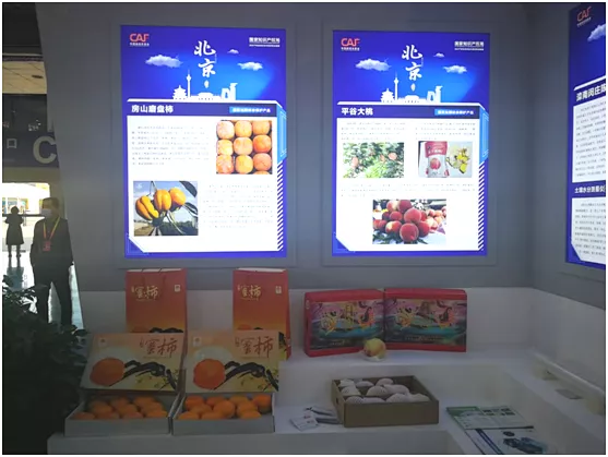 北京“平谷大桃”“房山磨盤柿”等地理標誌產品亮相楊凌農高會