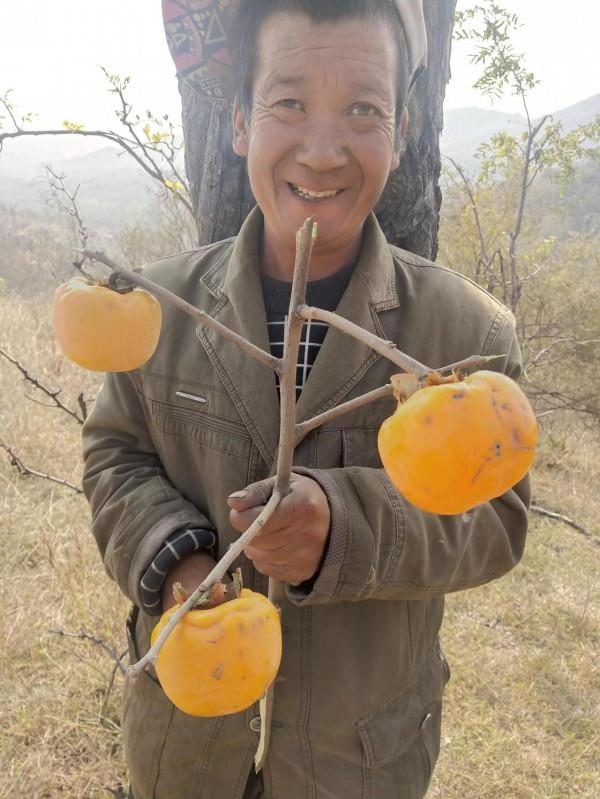 魯家峪的故事(2021－836)