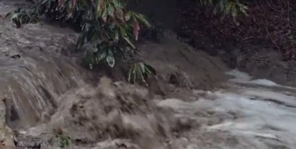 2010年,小夫妻買下1200畝荒地,只為一隻流浪狗,8年後年入千萬 2010年,小夫妻買下1200畝荒地,只為一隻流浪狗,8年後年入千萬