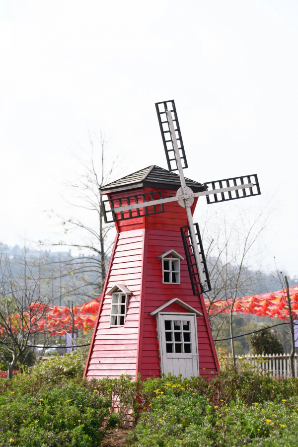 新春佳節到，迎春花展來，騰衝這片近萬平米花卉展區等你打卡啦！