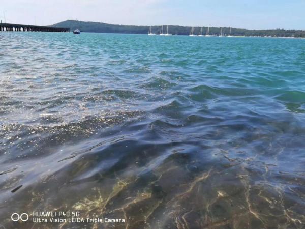 廣西北海潿洲島很坑? 廣西北海潿洲島很坑?