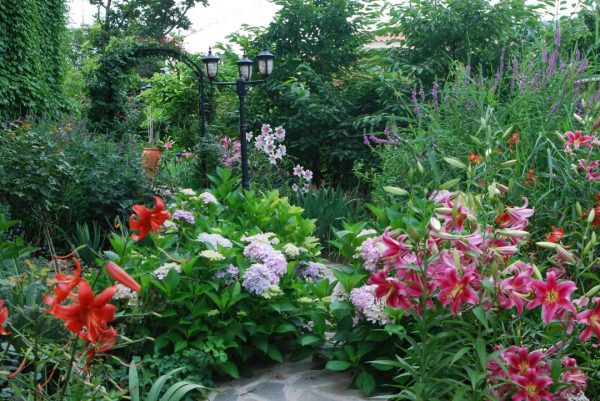 東北花友走遍歐洲著名花園,回國後建了座四季有花的北方花園 東北花友走遍歐洲著名花園,回國後建了座四季有花的北方花園