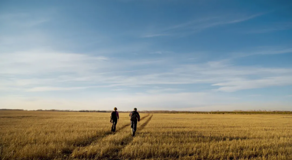 中年人的朋友觀：遠近隨意，聚散隨緣