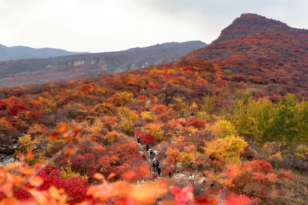 在北京過個秋天，立刻退掉了去騰衝的機票