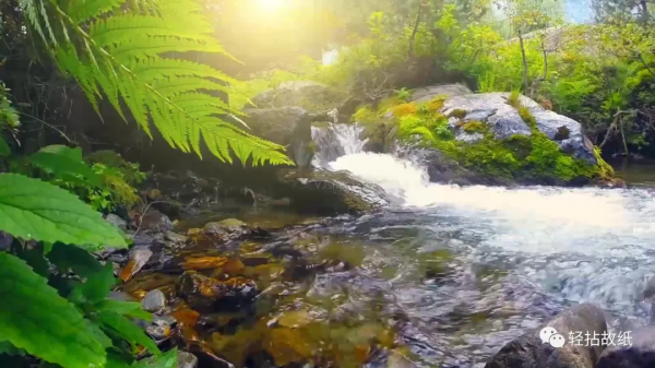 “上善若水”之正解