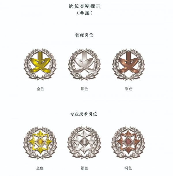 軍隊文職人員服飾與標誌大全,收藏版 軍隊文職人員服飾與標誌大全,收藏版