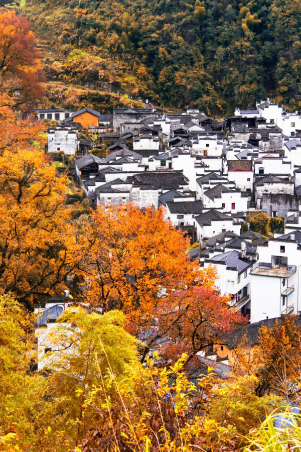 中國深秋10大最“紅”的紅葉林，準備好出發了嗎？