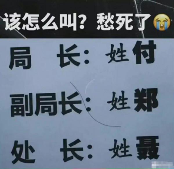 在野外遇到大熊貓可以帶回家嗎？