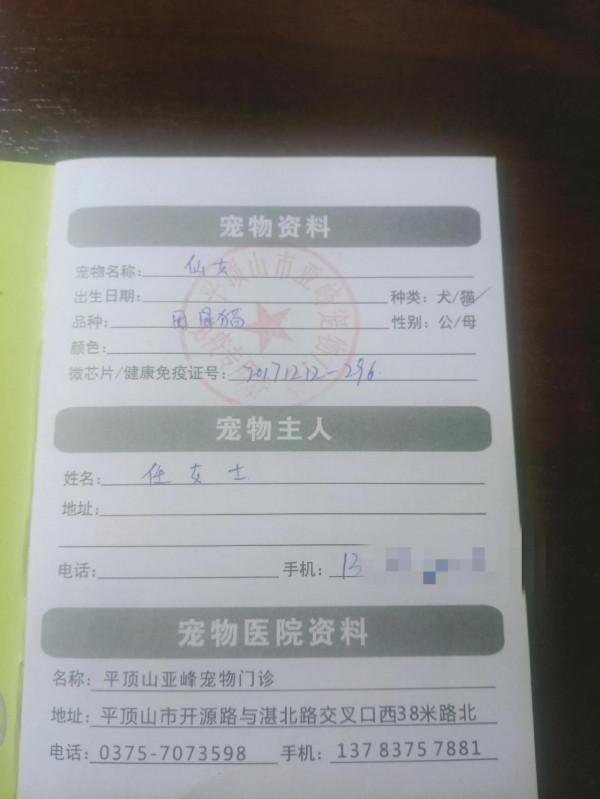 小仙成長記 小仙成長記