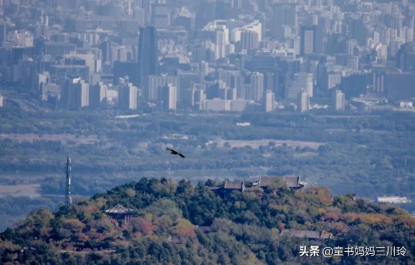 別人家的自然達人爸爸,光看照片都養眼啊 別人家的自然達人爸爸,光看照片都養眼啊