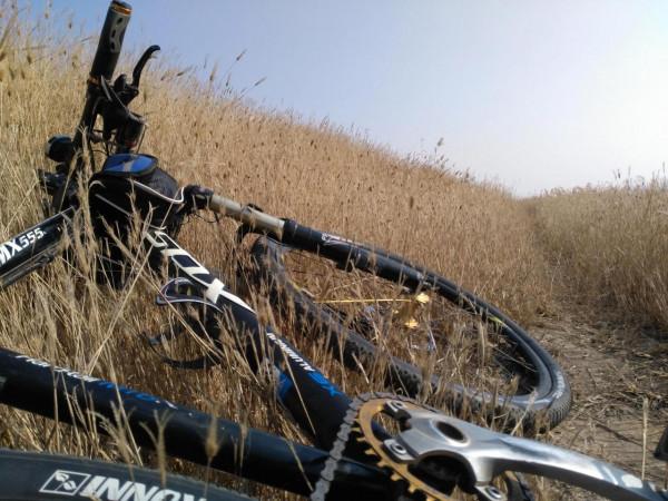 騎行運動真的那麼好嗎？