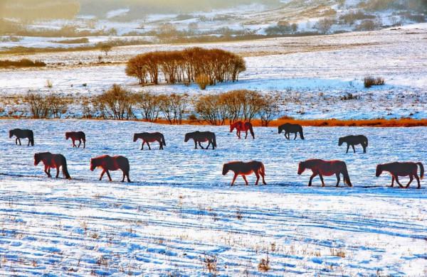 8條適合秋天的短途自駕路線，10-11月出發正當時，您去過幾條？