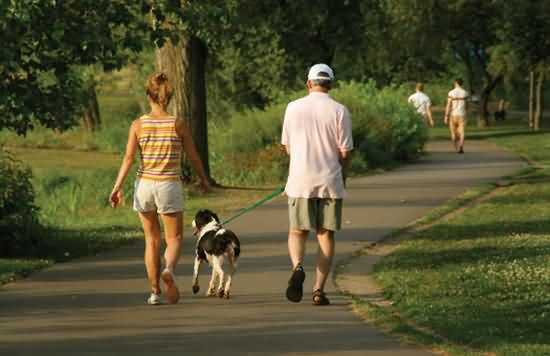 長期走路有助於身體健康?超過60歲,不妨做好“這5件事” 長期走路有助於身體健康?超過60歲,不妨做好“這5件事”