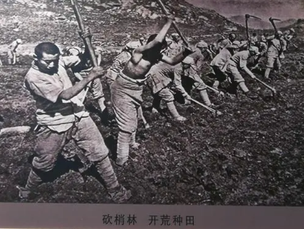 毛主席視察南泥灣，王震請客吃燒雞，飯後主席悄悄把雞骨頭裝兜裡