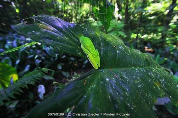 給你一個眼神,自己體會 給你一個眼神,自己體會