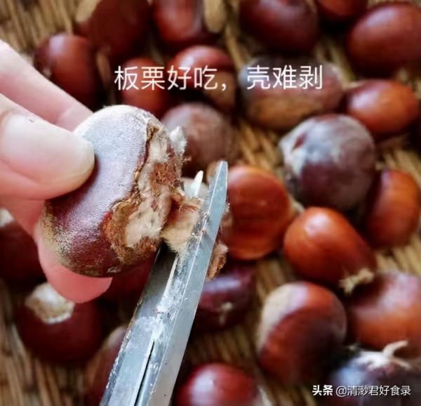 秋分到天轉涼,這兩方面飲食要多關注,順應時節保健康,別太大意 秋分到天轉涼,這兩方面飲食要多關注,順應時節保健康,別太大意