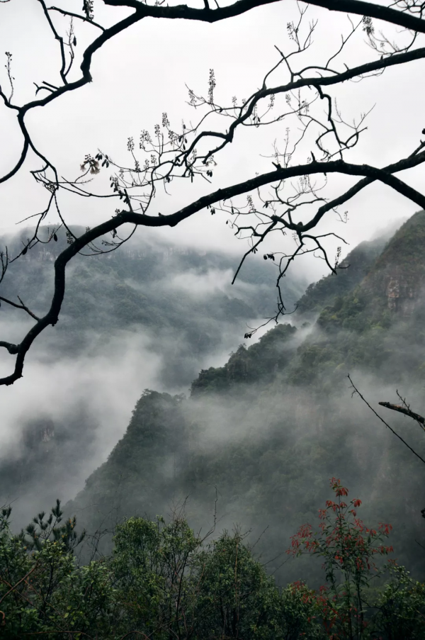 據說，那裡很美有一道一千萬年前形成的絕美傷痕那就是廣東大峽谷