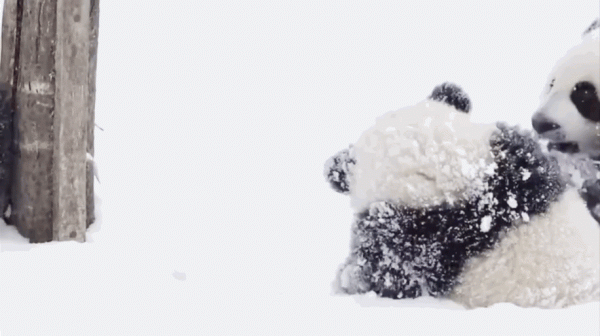 為了讓娃看懂冬奧,我私藏了這些絕招兒!今冬必須給娃安排上 為了讓娃看懂冬奧,我私藏了這些絕招兒!今冬必須給娃安排上