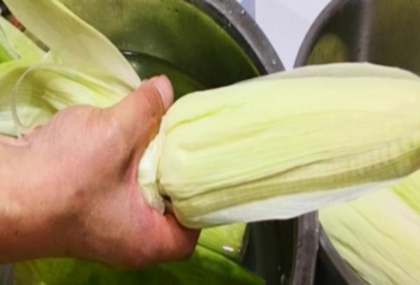 煮玉米時別隻放清水煮，多加這2種調料，玉米個個香甜軟糯又好吃