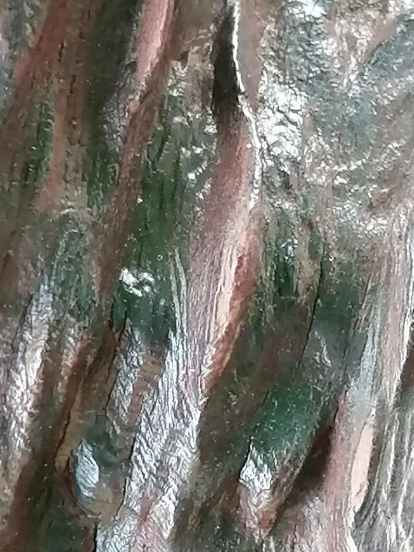 海南伽南香形質韻之美質 海南伽南香形質韻之美質