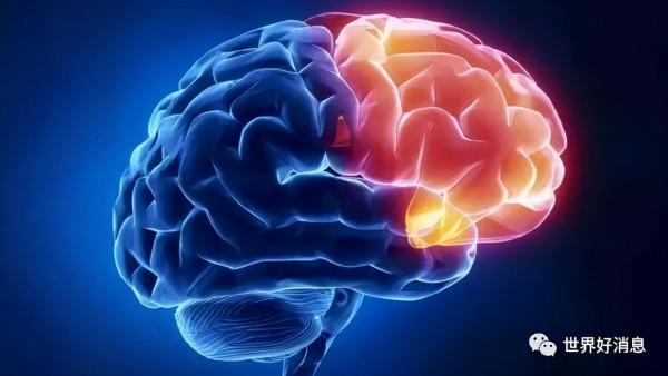 最新研究：你的腦力直到60歲左右才會慢下來