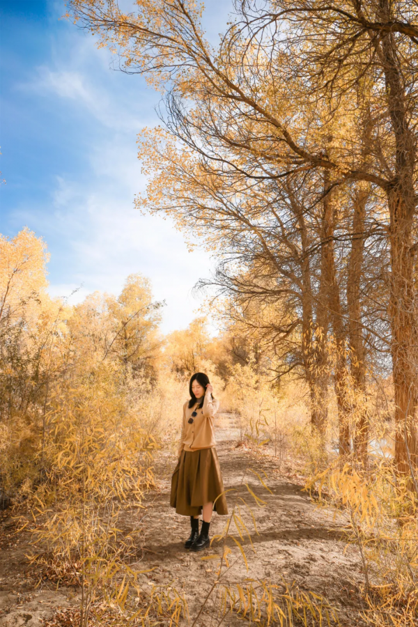 毫無懸念!今年最美的國內秋天,果然還是額濟納 毫無懸念!今年最美的國內秋天,果然還是額濟納