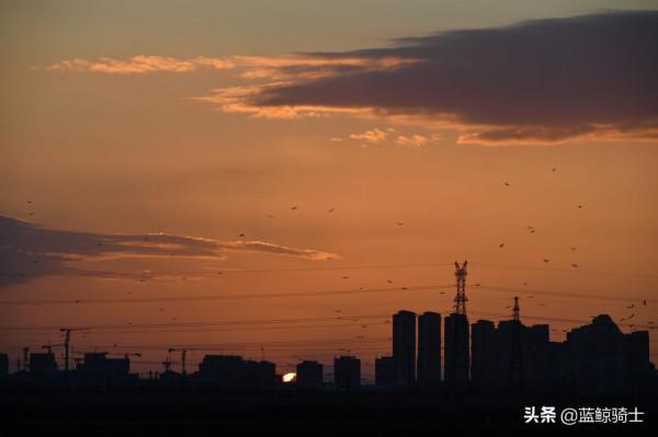 津城冬日日出與候鳥同框