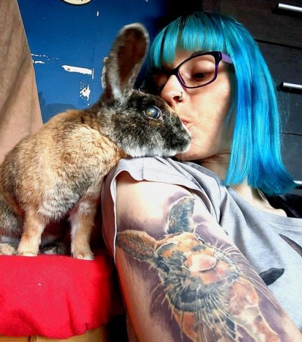 15只以上的寵物向人類表達了所有的愛 15只以上的寵物向人類表達了所有的愛