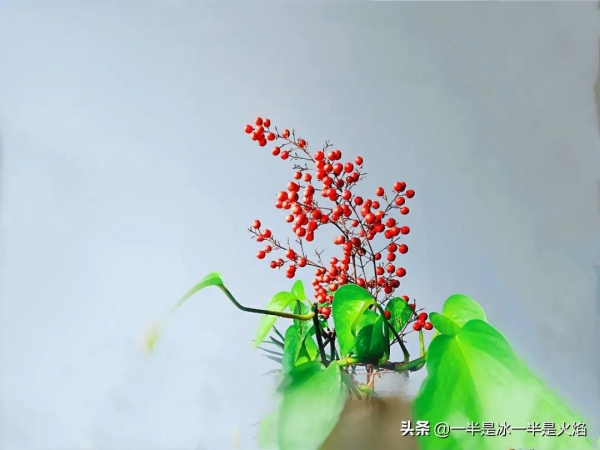 散文詩:歲末 散文詩:歲末