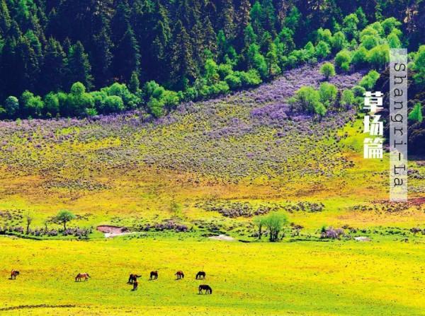 為什麼要去香格里拉