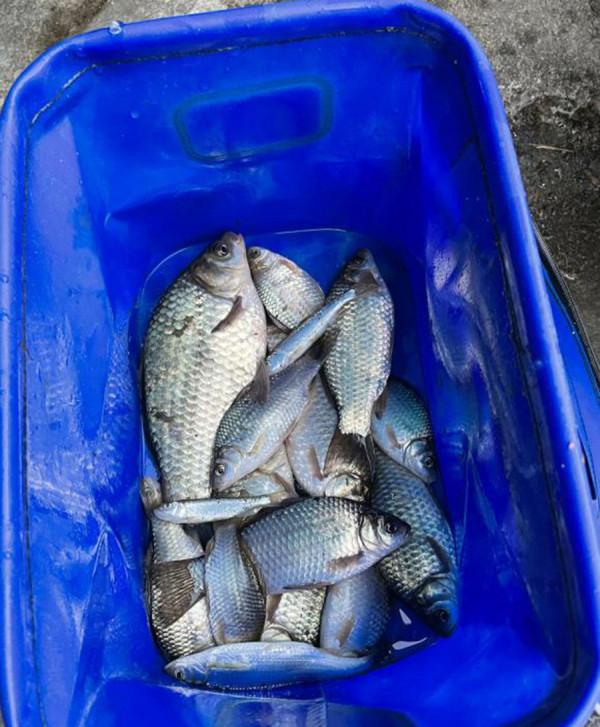 冬季釣不到魚別怪天氣不好，注意這幾點，再冷的天也有魚口