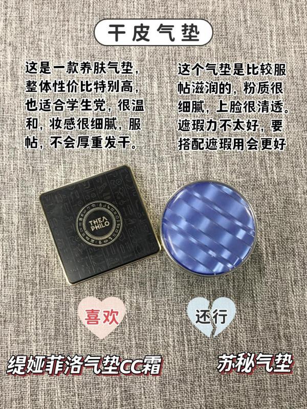 這幾個百十塊的氣墊給我