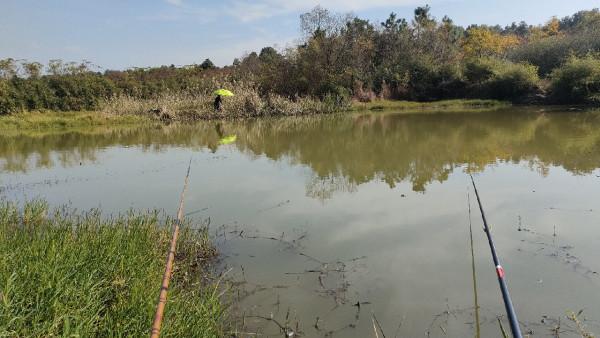 向左還是向右該何去何從，男人的野性在呼喚