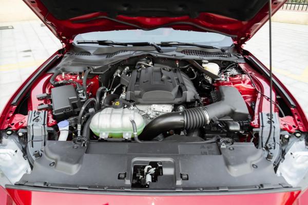 新車｜最後一代燃油車型，提供三種動力！全新Mustang明年3月投產