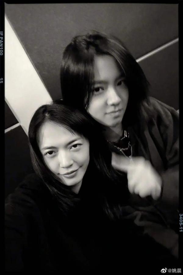 娛樂圈的大花繼承人,都有她們年輕時的影子 娛樂圈的大花繼承人,都有她們年輕時的影子