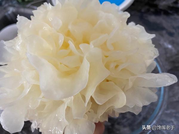 “秋吃白，冬吃黑”，秋天“多吃3白，少吃1黑”，養胃潤肺防秋燥