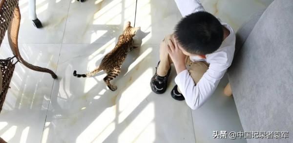 我最喜歡哥哥的寵物貓