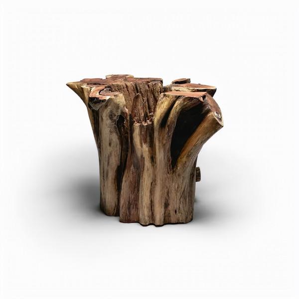 我們分析了一波趨勢，2022年在家裡放這些“超有品”