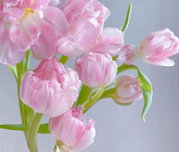 《道德經》了不起的人，處，人所不能處，處世之道，以利他為主