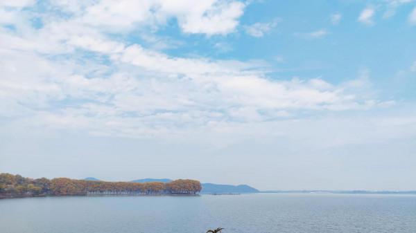 學習真的要5+2嗎？最好的方式是陪伴