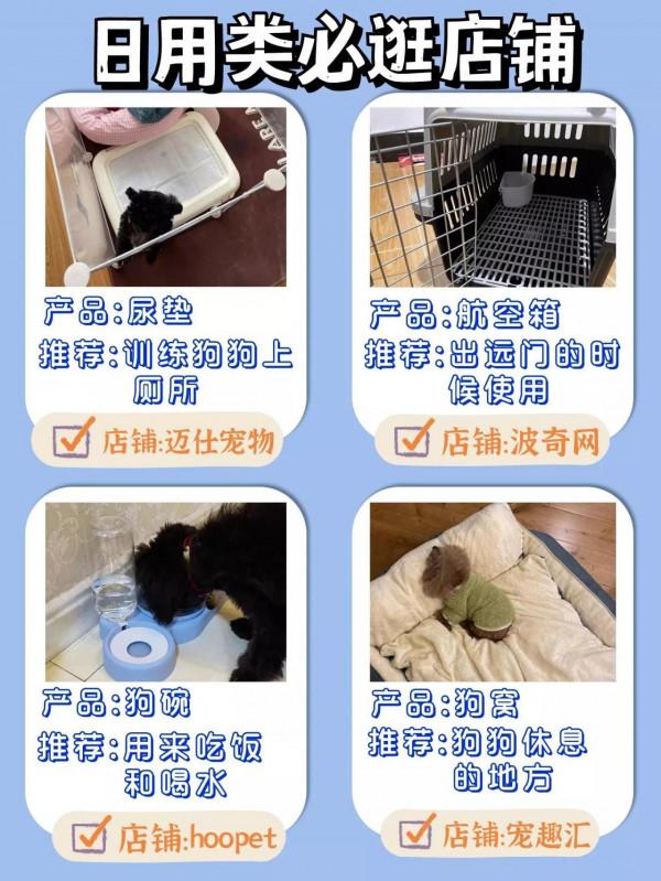 雙十二快到了！鏟屎官竟然還不知道咋買