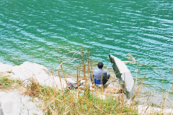 揭露假紅蟲粉的“真面目”，別再被騙了