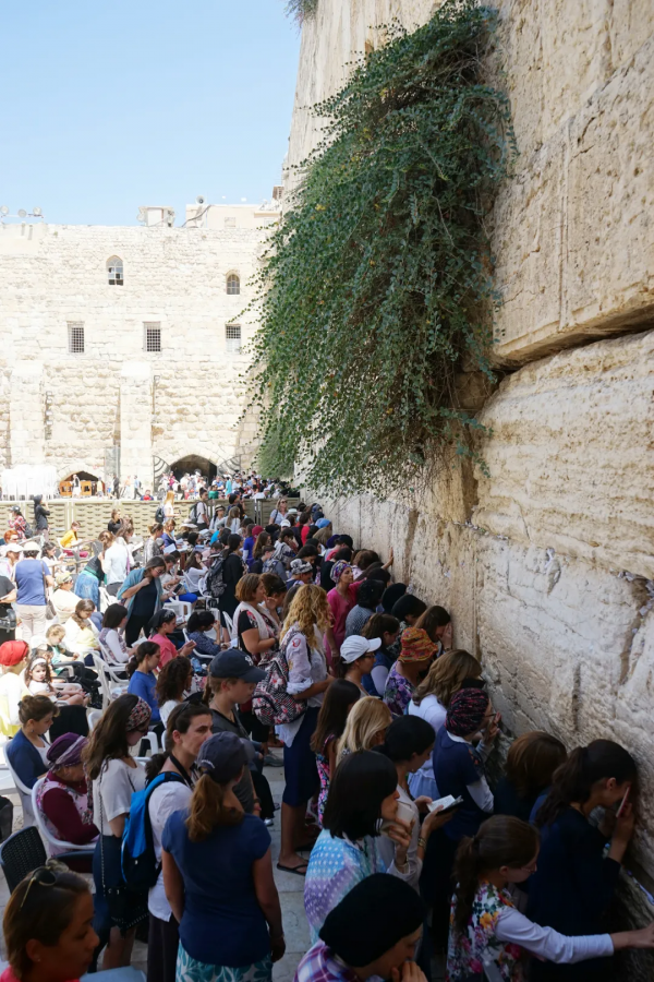 這些奢侈回憶，被我翻了千百遍