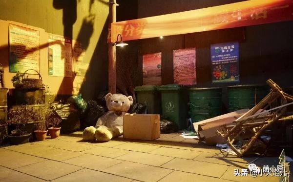 對它們而言，陪伴是最長情的告白