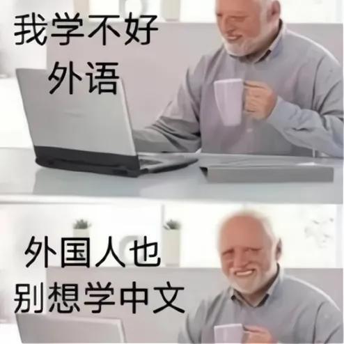 中文有多難學?外國人用“梗圖”進行吐槽,原諒我不厚道地笑了 中文有多難學?外國人用“梗圖”進行吐槽,原諒我不厚道地笑了